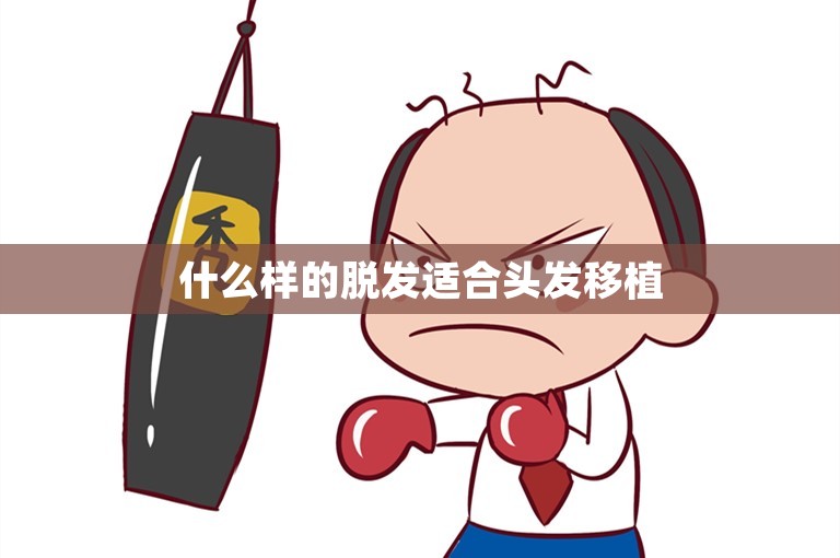 什么样的脱发适合头发移植