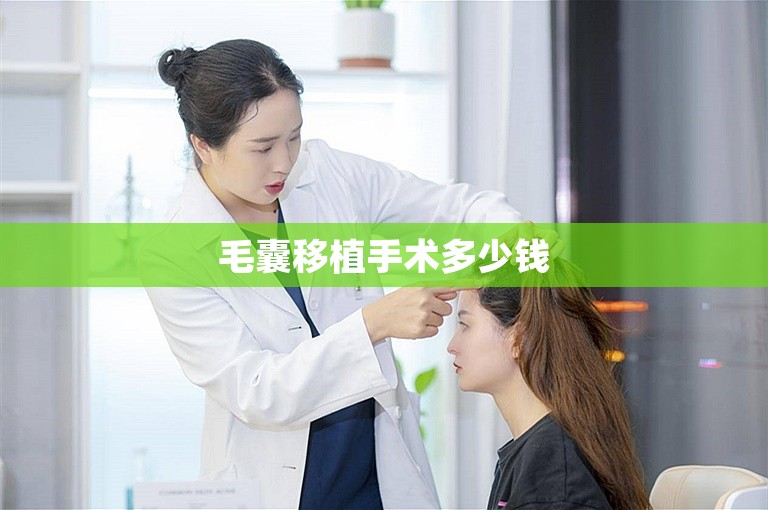 毛囊移植手术多少钱