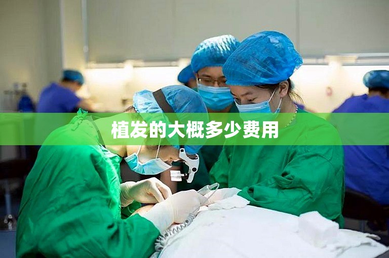 植发的大概多少费用