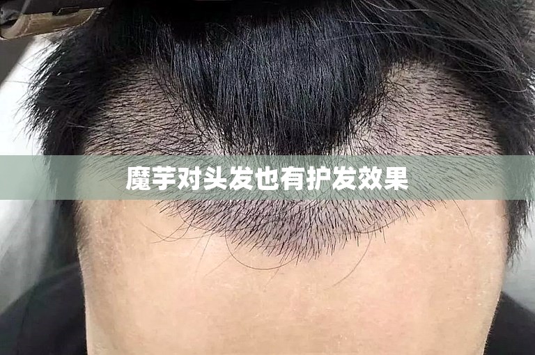 魔芋对头发也有护发效果