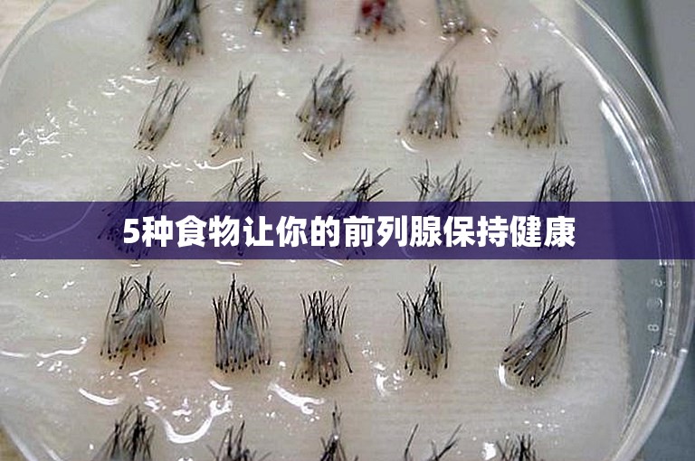 5种食物让你的前列腺保持健康