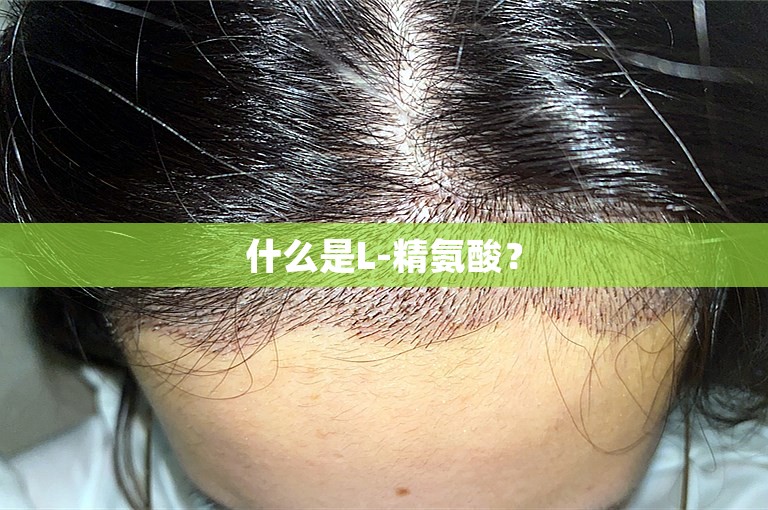 什么是L-精氨酸？