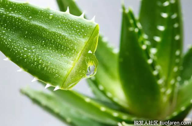 脂溢性皮炎的自然疗法