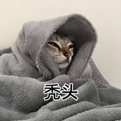 你不能错过的养头发的方法。！